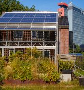 Afbeelding van zonnepanelen op een huis in Delft