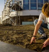 Persoon graaft in de aarde