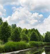 Foto van Valckesteinse Bos