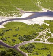 Haringvliet, een rivier die door een groen landschap stroomt
