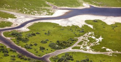 Haringvliet, een rivier die door een groen landschap stroomt